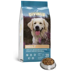 divinus-dog-food-adult-bowl