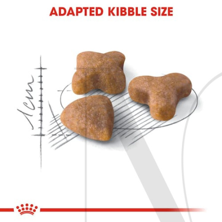 fhn-sensible33-cv-eretailkit-3