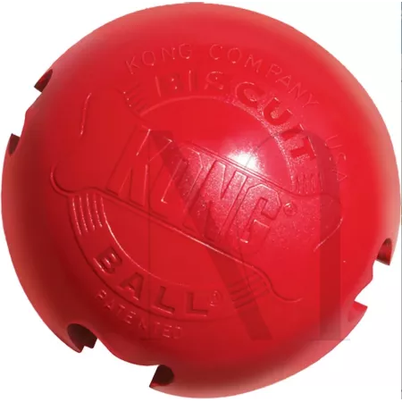 screenshot2020-03-2411_42_55_1024x10242x