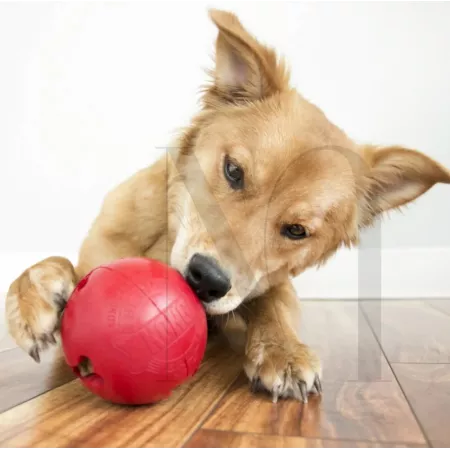 screenshot2020-03-2411_44_01_1024x10242x